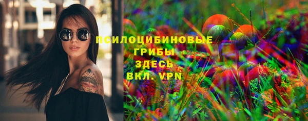 МДПВ Семёнов