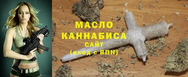 шишки Снежногорск