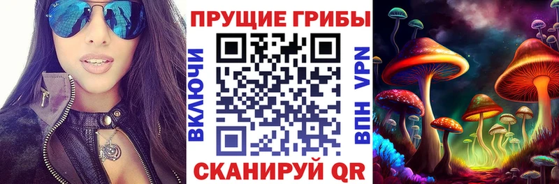 Купить закладки  Железногорск-Илимский  Псилоцибиновые грибы Psilocybe 
